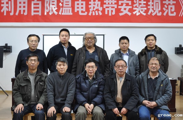 米兰app体育官方入口下载安装集团主编太阳能电热带行业标准通过专家审定(图1)