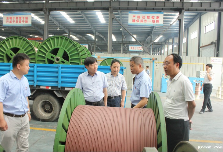 市委副书记贺家平莅临米兰app体育官方入口下载安装视察调研(图1)