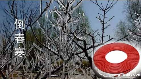 电伴热带应对倒春寒