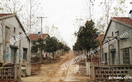 安徽绿健猪舍养殖保温发热电缆电地暖